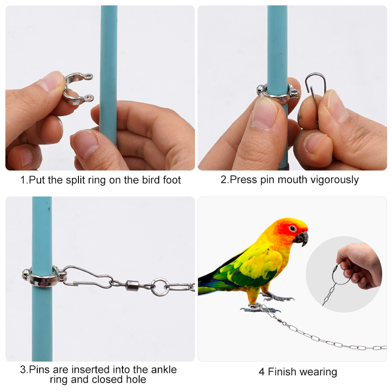 Roestvrijstalen papegaaienbeen - Anklet Foot Chain recensie en prijs